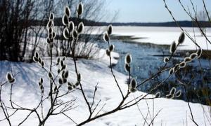 Синоптики прогнозують, що лютий буде з морозами, а весна — пізньою і дощовою