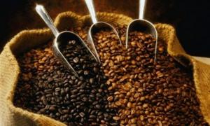 Світу загрожує дефіцит кави 