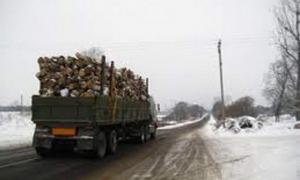 Волинські даішники затримали кілька вантажівок із деревиною