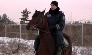 Столичний іподром буде утримувати коней міліції за півмільйона в рік