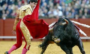 Іспанський парламент хоче надати боям биків культурний статус