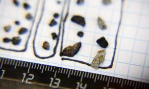 Вчені радять не купувати уламки метеорита без сертифіката 