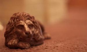 Влітку у Львові запрацює Музей шоколаду