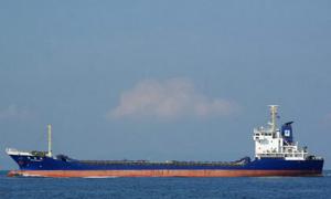 У водах Антарктики китобої протаранили судно екологів