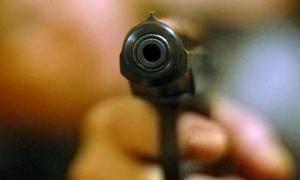 У США прийомний батько застрелив дитину з України