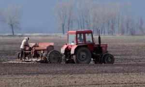 Завдяки теплій погоді Миколаївська та Херсонська області почали посівну кампанію раніше