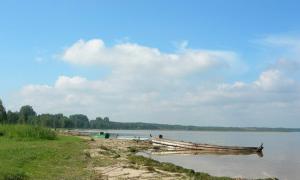 Землю на березі озера Світязь продадуть із земельних торгів