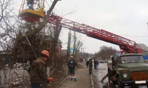 «Волиньобленерго» розчищатиме зони навколо ліній електромереж 