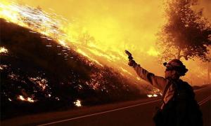 Енергетичну компанію звинуватили у смертоносних пожежах в Австралії