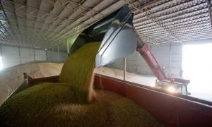 Україна суттєво наростила експорт зерна