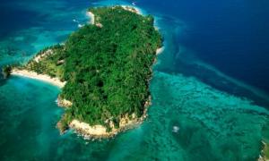 Фолклендські острови хочуть залишитись у підпорядкуванні Великобританії