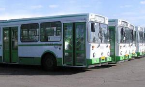 Україні потрібно 5 тисяч тролейбусів і 30 тисяч автобусів