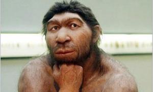 Вчені вважають, що неандертальці вимерли через великі очі
