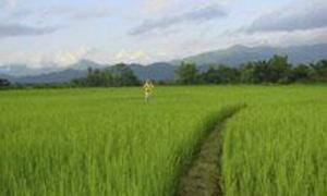 На захист навколишнього середовища податківці зібрали майже 400 мільйонів