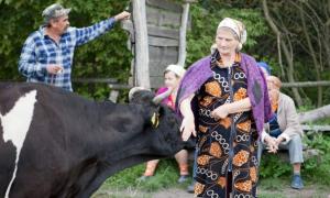 Мінагрополітики: Кооперативи дадуть роботу 5 мільйонам селян