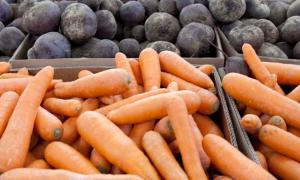 Цього року Україна наростить виробництво сільгосппродукції на 8%