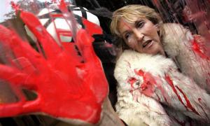 Відомі захисники тварин за рік убили 1600 собак і кішок