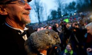 У США хочуть стратити знаменитого бабака за невірний прогноз