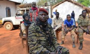 Повстанці захопили президентський палац в ЦАР