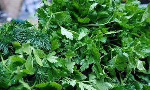 Розфасовані салат і зелень можуть містити небезпечних паразитів