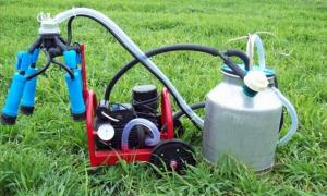 Держава виділила 5 мільйонів на компенсацію за придбання доїльних апаратів