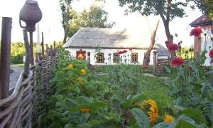 В Україні створили опозиційне об’єднання «Буде село – буде Україна»