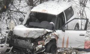 На Черкащині легковик врізався у дерево, водій і двоє пасажирів загинули на місці