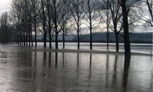 У західних областях підвищується рівень води у річках