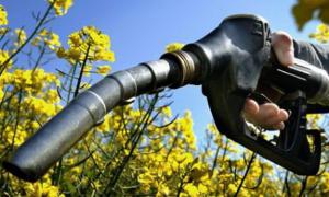 29 спиртових заводить перепрофілюють на виробництво біоетанолу