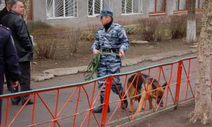 У Миколаєві жартівник «замінував» школу, піднявши на вуха всі рятувальні служби міста 