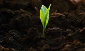 Українські аграрії залучили майже 3 мільярда гривень кредитів