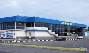 Олександр Янукович став власником міжнародного аеропорту «Сімферополь» 