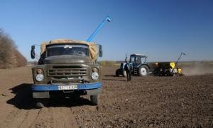 Присяжнюк: Насіння і добрив аграріям вистачить, щоб провести посівну у стислі терміни