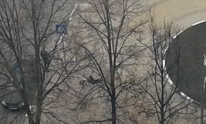 В Росії невідомий розстріляв п’ятьох людей на вулиці