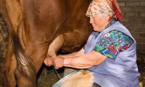 Селяни підвищили ціни на молоко на 18%