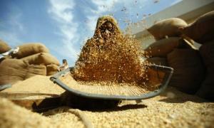 Вивозити зерно з України тепер можна в необмежених кількостях