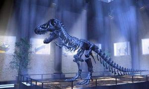 Вчені пояснили, чому динозаври ходили на напівзігнутих ногах