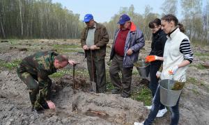 У Рожищенському районі висадили новий ліс