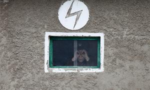 Північна Корея запустила шосту ракету за три дні