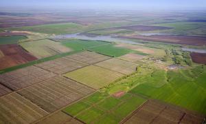 Земля в Україні може значно подорожчати