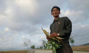Південна Корея готова підгодувати КНДР