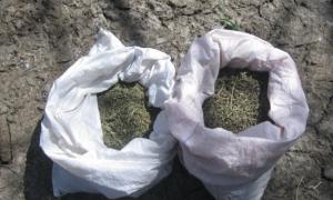 Кіровоградський пенсіонер збував марихуану відвідувачам розважальних закладів