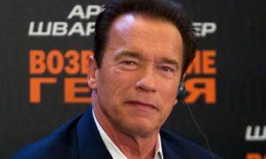 Шварценеггер зніметься у серіалі про завсідників тренажерного залу