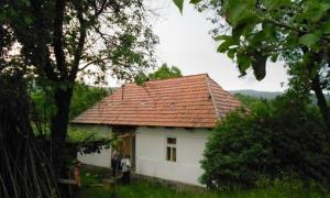 На Закарпатті чоловік убив самотню пенсіонерку за домашню консервацію