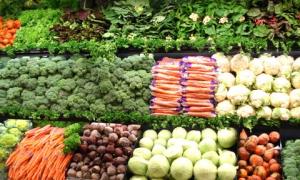 Експерти прогнозують низькі ціни на овочі та ягоди