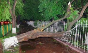 Ураган завдав Одесі збитків на десятки мільйонів гривень