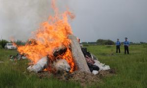 На Житомирщині спалили 300 кілограмів різних наркотиків 