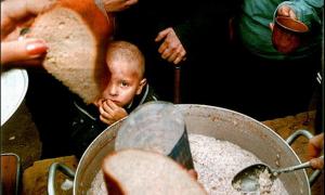 Кожного року від голоду помирають більше 3 мільйонів дітей