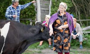 4 тисячі голів сільських і селищних рад навчилися створювати кооперативи