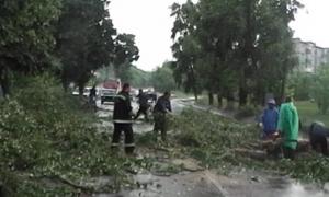 На Черкащині пронісся буревій і повалив дерева на дороги